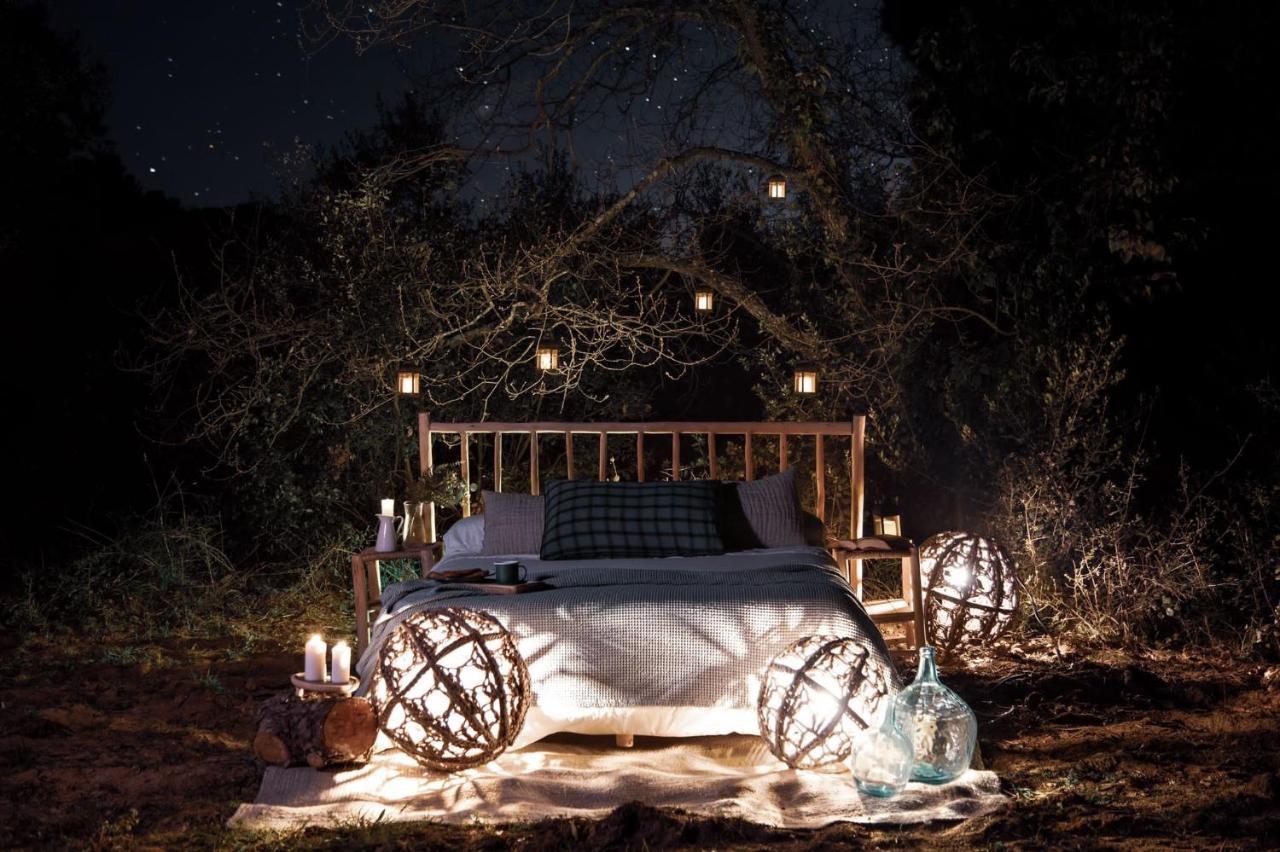 Nits De Bosc Vilassar De Dalt